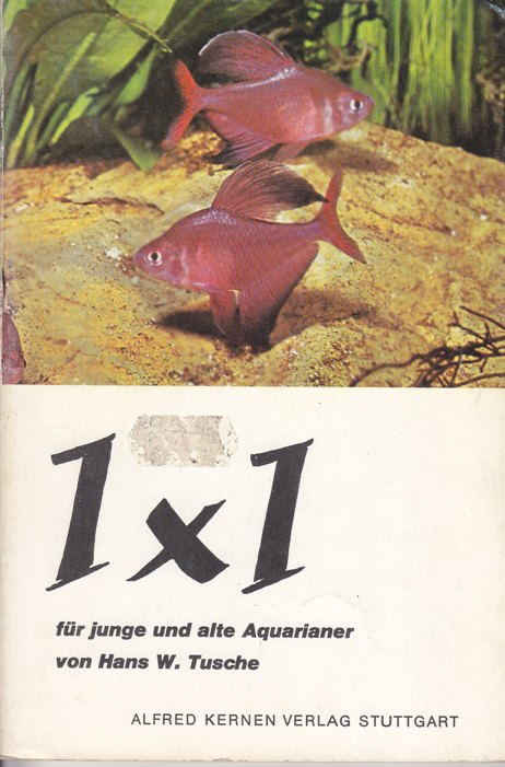 1 x 1 für junge und alte Aquarianer