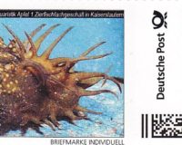 AA-Briefmarke 0,70 € Deutsche Post Individuell Antennenwels