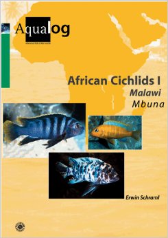 Africa Cichlids I