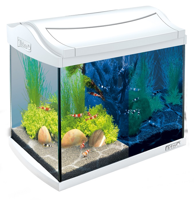 Tetra Aquarien-Sets