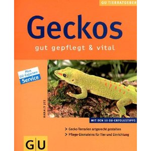 Geckos gut gepflegt & vital