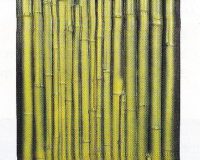 Hobby Bambus Rückwand 58 x 118 cm