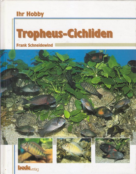 Tropheus - Cichliden