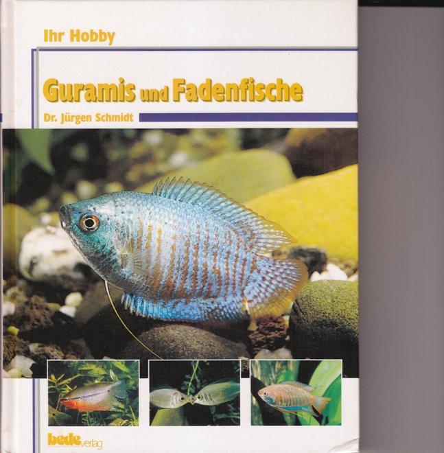 Guramis und Fadenfische