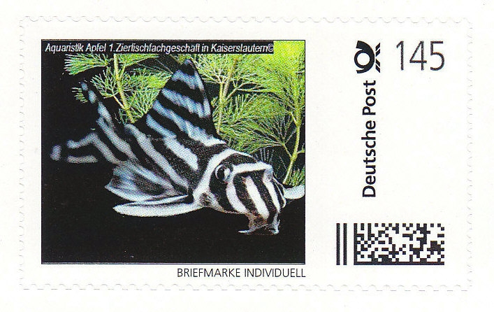 AA-Briefmarke 1,45 €  Deutsche Post Individuell Zebrawels