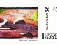 AA-Briefmarke 0,45 € Deutsche Post Individuell Magnum-Prachtharnischwels