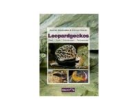 Leopardgeckos von Karsten Gießhammer & Gunther Köhler