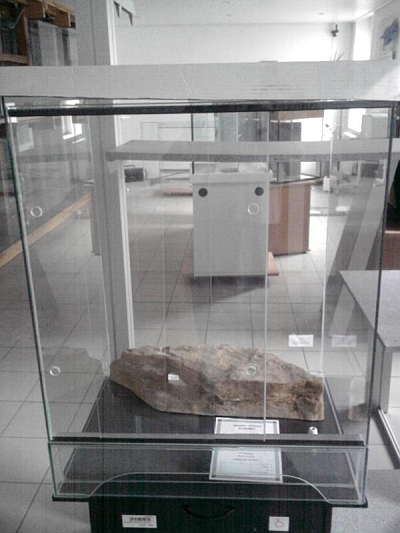 Hochterrarium 60x50x80 cm
