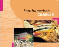 Aqualog Southamerican Cichlid II