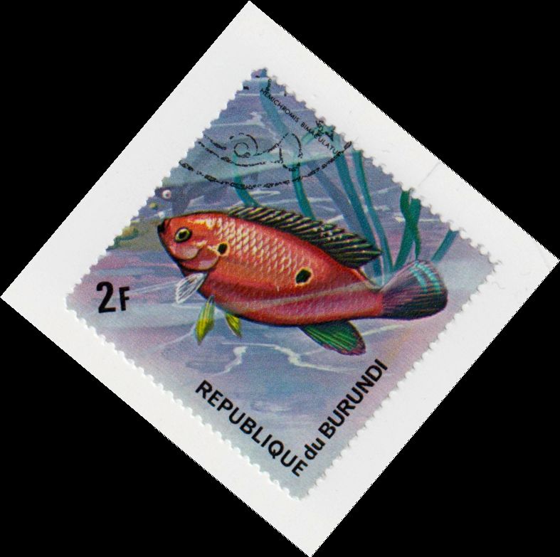 Burundi_1040_B001093