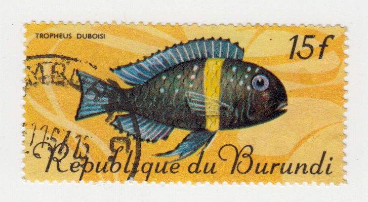 Burundi_330_B001109