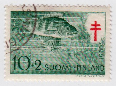 Finnland_443_B001140