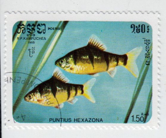 Kambodscha_719_B001252