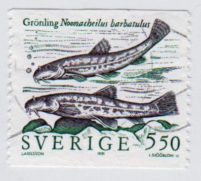 Schweden_1653_B001195